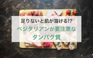 minimal traveler, eyecatch, vegetarian-protein
